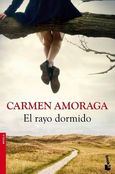 RAYO DORMIDO, EL (BOOKET NOVELA 2523) | 9788423346714 | AMORAGA, CARMEN | Llibreria La Gralla | Llibreria online de Granollers