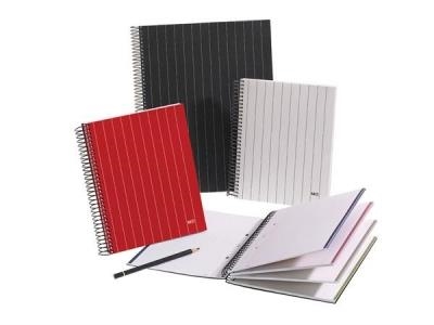 LLIBRETA NBOOK 4 A5 DIPLOMATIC RATLLES | 8422593458754 | MQR45875 | Llibreria La Gralla | Llibreria online de Granollers