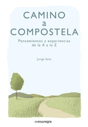 CAMINO A COMPOSTELA | 9788415097891 | SANZ, JORGE | Llibreria La Gralla | Librería online de Granollers
