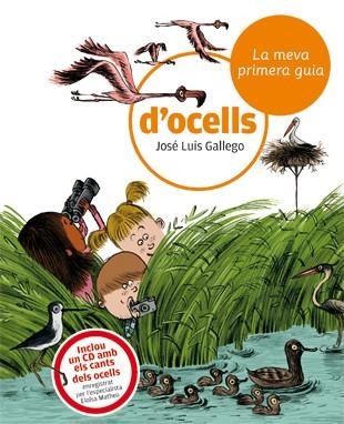 MEVA PRIMERA GUIA D'OCELLS, LA | 9788424633721 | GALLEGO, JOSE LUIS | Llibreria La Gralla | Librería online de Granollers