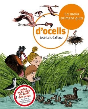 MEVA PRIMERA GUIA D'OCELLS, LA | 9788424633721 | GALLEGO, JOSE LUIS | Llibreria La Gralla | Llibreria online de Granollers