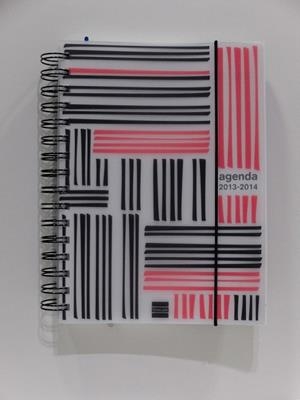 ***AGENDA ESCOLAR 13-14 FINOCAM INSTITUT OSLO A5 SV | 8422952075233 | FINS201C | Llibreria La Gralla | Librería online de Granollers