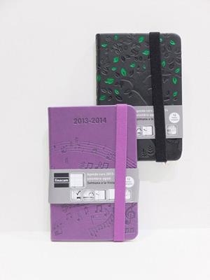 ***AGENDA ESCOLAR 13-14 FINOCAM M2 COLORS A7 SV | 8422952073819 | FINM2SV | Llibreria La Gralla | Librería online de Granollers