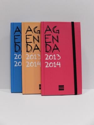 ***AGENDA ESCOLAR 13-14 FINOCAM TEEN VICTOR T9 COLORS A6 SV | 8422952089964 | FINT9 | Llibreria La Gralla | Librería online de Granollers
