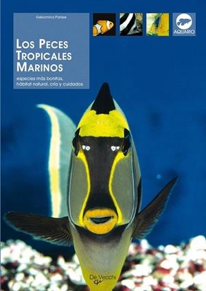 PECES TROPICALES MARINOS, LOS (ACUARAMA) | 9788431528003 | PARISSE, GELSOMINA | Llibreria La Gralla | Llibreria online de Granollers