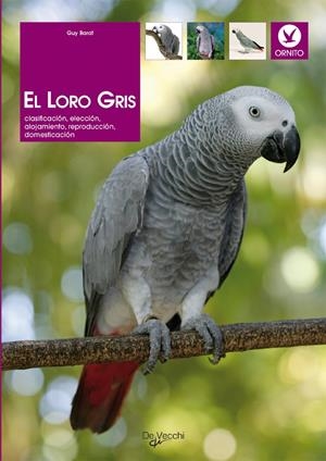 LORO GRIS, EL | 9788431529437 | BARAT, GUY | Llibreria La Gralla | Librería online de Granollers