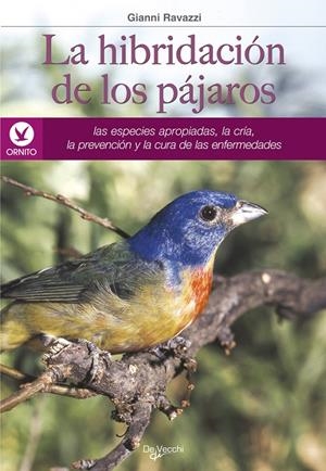 HIBRIDACION DE LOS PAJAROS, LA | 9788431520472 | RAVAZZI, GIANNI | Llibreria La Gralla | Librería online de Granollers