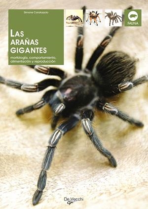 ARAÑAS GIGANTES, LAS | 9788431529444 | CARATOZZOLO, SIMONE | Llibreria La Gralla | Librería online de Granollers