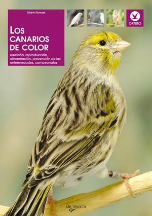 CANARIOS DE COLOR, LOS | 9788431523343 | RAVAZZI, GIANNI | Llibreria La Gralla | Librería online de Granollers