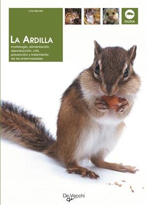 ARDILLA, LA | 9788431532055 | BENATO, LIVIA | Llibreria La Gralla | Librería online de Granollers