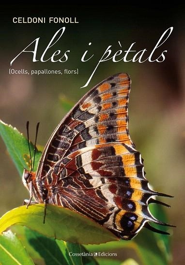 ALES I PÈTALS | 9788490341605 | FONOLL, CELDONI | Llibreria La Gralla | Llibreria online de Granollers