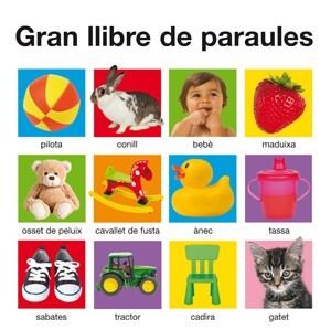GRAN LLIBRE DE PARAULES | 9788424646547 | PRIDDY, ROGER | Llibreria La Gralla | Llibreria online de Granollers