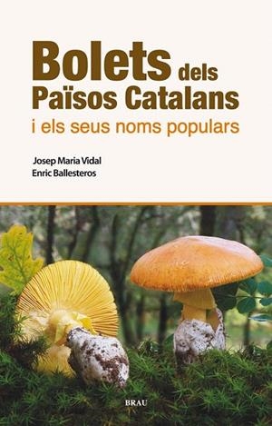 BOLETS DELS PAÏSOS CATALANS I ELS SEUS NOMS POPULARS | 9788496905986 | VIDAL FRIGOLA, JOSEP MARIA/BALLESTEROS SAGARRA, ENRIC | Llibreria La Gralla | Librería online de Granollers
