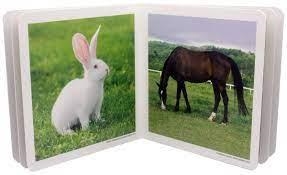 ANIMALS DE GRANJA | 9788494174568 | NORWORDBOOKS | Llibreria La Gralla | Librería online de Granollers