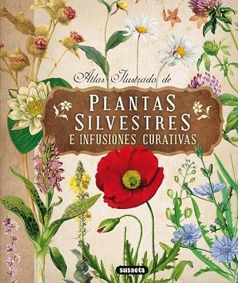 ATLAS ILUSTRADO DE PLANTAS SILVESTRES E INFUSIONES CURATIVAS | 9788467722864 | TOMANOVÁ, ELISKA | Llibreria La Gralla | Librería online de Granollers