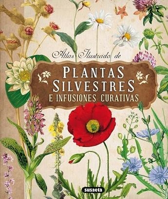 ATLAS ILUSTRADO DE PLANTAS SILVESTRES E INFUSIONES CURATIVAS | 9788467722864 | TOMANOVÁ, ELISKA | Llibreria La Gralla | Llibreria online de Granollers