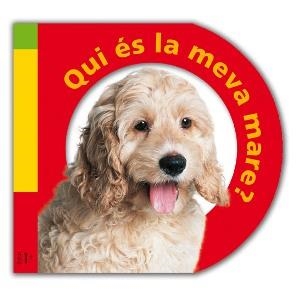 QUI ÉS LA MEVA MARE? | 9788479424749 | PRIDDY, ROGER | Llibreria La Gralla | Librería online de Granollers