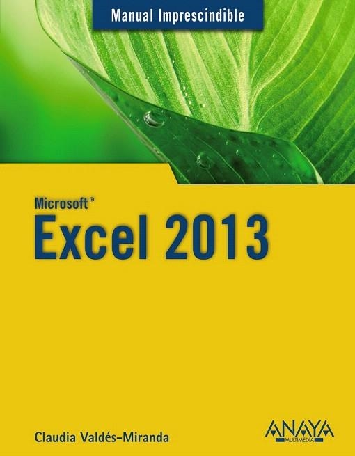 EXCEL 2013 | 9788441534483 | VALDÉS-MIRANDA, CLAUDIA | Llibreria La Gralla | Librería online de Granollers