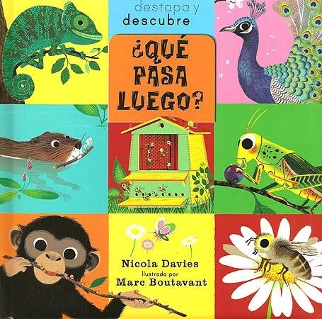 QUÉ PASA LUEGO? (DESTAPA Y DESCUBRE) | 9788426139962 | DAVIES, NICOLA | Llibreria La Gralla | Llibreria online de Granollers