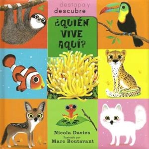 QUIÉN VIVE AQUÍ? (DESTAPA Y DESCUBRE) | 9788426139986 | DAVIES, NICOLA | Llibreria La Gralla | Librería online de Granollers