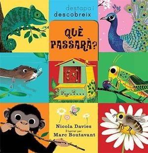 QUÈ PASSARÀ? (DESTAPA I DESCOBREIX) | 9788426139979 | DAVIES, NICOLA | Llibreria La Gralla | Librería online de Granollers