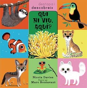 QUI HI VIU AQUÍ? (DESTAPA I DESCOBREIX) | 9788426139993 | DAVIES, NICOLA | Llibreria La Gralla | Librería online de Granollers