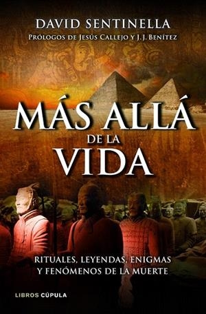 MÁS ALLÁ DE LA VIDA | 9788448069049 | SENTINELLA, DAVID | Llibreria La Gralla | Llibreria online de Granollers