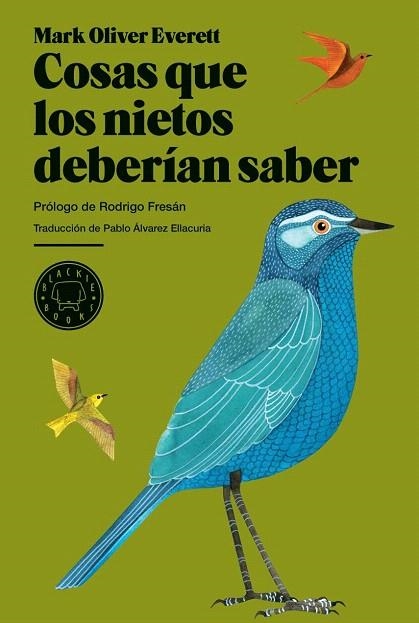 COSAS QUE LOS NIETOS DEBERÍAN SABER | 9788493736217 | EVERETT, MARK OLIVER | Llibreria La Gralla | Librería online de Granollers