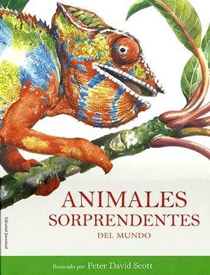 ANIMALES SORPRENDENTES DEL MUNDO | 9788426138705 | SCOTT, PETER DAVID | Llibreria La Gralla | Llibreria online de Granollers