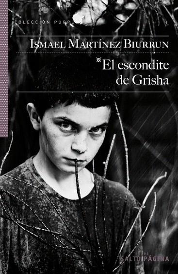 ESCONDITE DE GRISHA, EL | 9788415065173 | MARTÍNEZ BIURRUN, ISMAEL | Llibreria La Gralla | Llibreria online de Granollers