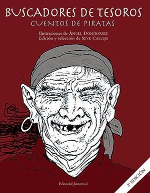 BUSCADORES DE TESOROS. CUENTOS DE PIRATAS | 9788426134356 | AAVV | Llibreria La Gralla | Llibreria online de Granollers