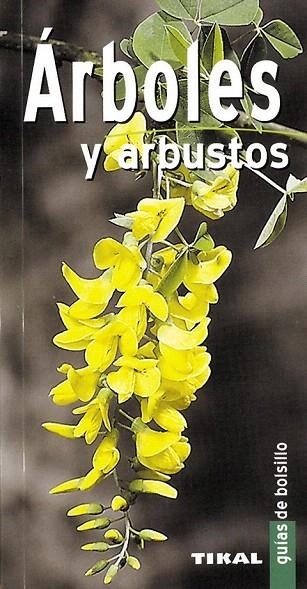 ARBOLES Y ARBUSTOS | 9788430558889 | Llibreria La Gralla | Librería online de Granollers