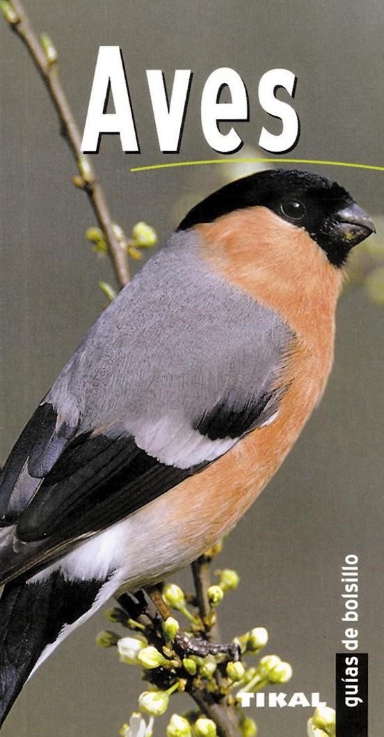 AVES | 9788430558902 | Llibreria La Gralla | Llibreria online de Granollers