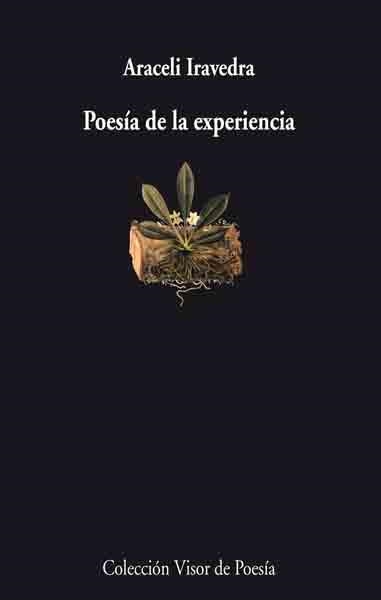 POESIA DE LA EXPERIENCIA (VISOR 651) | 9788475226514 | IRAVEDRA, ARACELI | Llibreria La Gralla | Llibreria online de Granollers