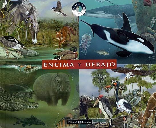 ENCIMA Y DEBAJO (CONTRASTES) | 9788426136176 | Llibreria La Gralla | Llibreria online de Granollers