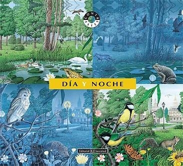DIA Y NOCHE (CONTRASTES) | 9788426136152 | Llibreria La Gralla | Llibreria online de Granollers