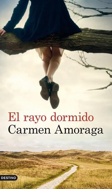 RAYO DORMIDO, EL | 9788423327133 | AMORAGA, CARMEN | Llibreria La Gralla | Librería online de Granollers