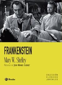 FRANKENSTEIN (CLASICOS JUVENILES,9) | 9788421658956 | SHELLEY, MARY W. | Llibreria La Gralla | Librería online de Granollers