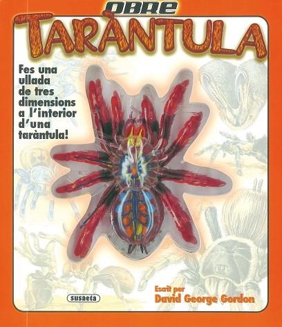 TARANTULA (OBRE) | 9788430569038 | Llibreria La Gralla | Llibreria online de Granollers