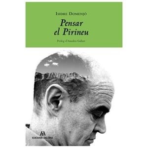 PENSAR EL PIRINEU | 9788461304530 | DOMEJO, ISIDRE | Llibreria La Gralla | Librería online de Granollers