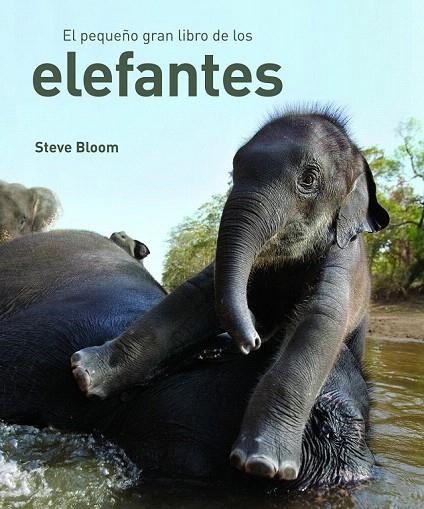 PEQUEÑO GRAN LIBRO DE LOS ELEFANTES, EL | 9788497543057 | BLOOM, STEVE | Llibreria La Gralla | Librería online de Granollers