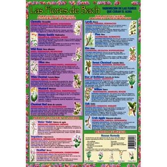 FLORES DE BACH, LAS LAMINA | 8436005160166 | Llibreria La Gralla | Llibreria online de Granollers