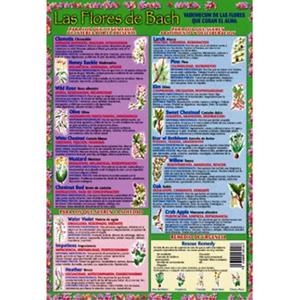 FLORES DE BACH, LAS LAMINA | 8436005160166 | Llibreria La Gralla | Llibreria online de Granollers