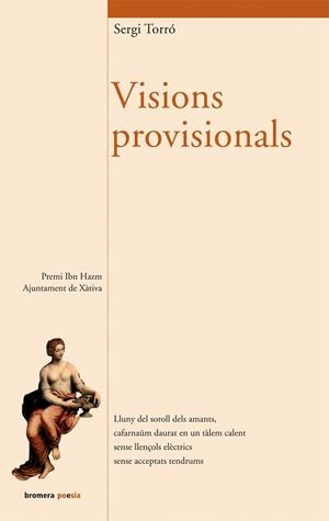 VISIONS PROVISIONALS | 9788498242355 | TORRO, SERGI | Llibreria La Gralla | Llibreria online de Granollers