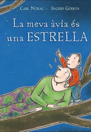 MEVA AVIA ES UNA ESTRELLA, LA | 9788495987563 | NORAC, CARL; GODON, INGRID | Llibreria La Gralla | Librería online de Granollers