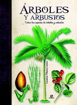 ARBOLES Y ARBUSTOS. TODAS LAS ESPECIES DE ARBOLES Y ARBUSTOS | 9788466224536 | PÉRSICO LAMAS, LUCRECIA | Llibreria La Gralla | Librería online de Granollers