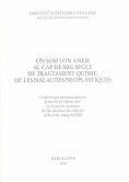 ON SOM I ON ANEM AL CAP DE MIG SEGLE DE TRACTAMENT QUIMIC | 9788472834996 | SANS I SABRAFEN, JORDI | Llibreria La Gralla | Llibreria online de Granollers