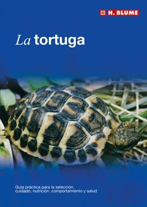 TORTUGA, LA | 9788489840881 | Llibreria La Gralla | Librería online de Granollers
