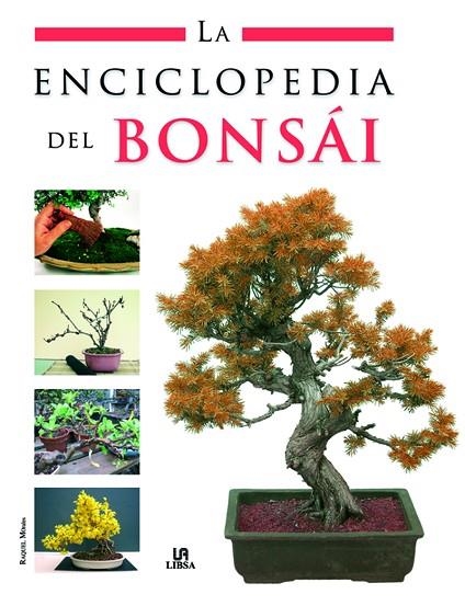 ENCICLOPEDIA DEL BONSAI, LA | 9788466214490 | MORALES, RAQUEL | Llibreria La Gralla | Librería online de Granollers