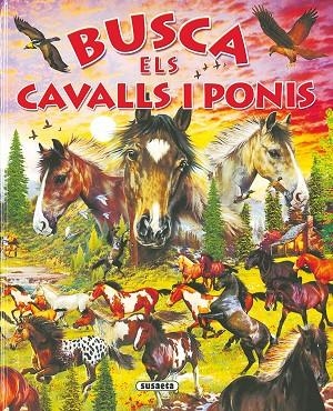 BUSCA ELS CAVALLS I PONIS | 9788430559701 | Llibreria La Gralla | Librería online de Granollers
